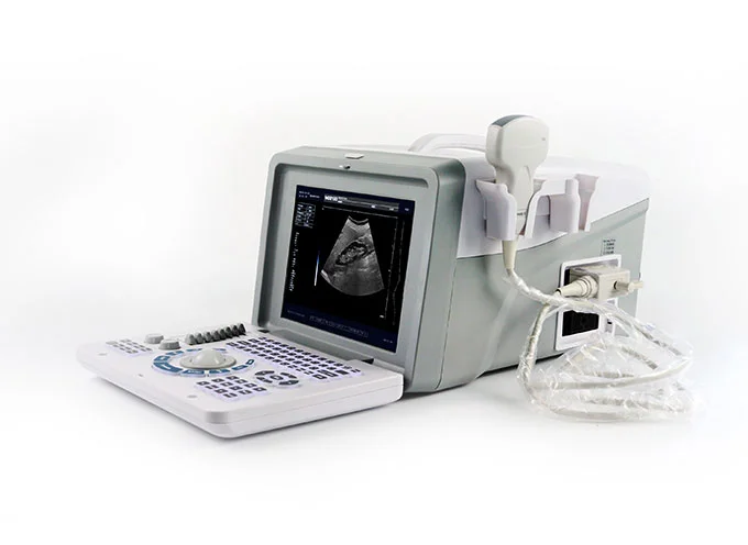 Dolphi® pro - 3