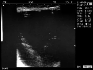 Sonovet ultrasound Scanner